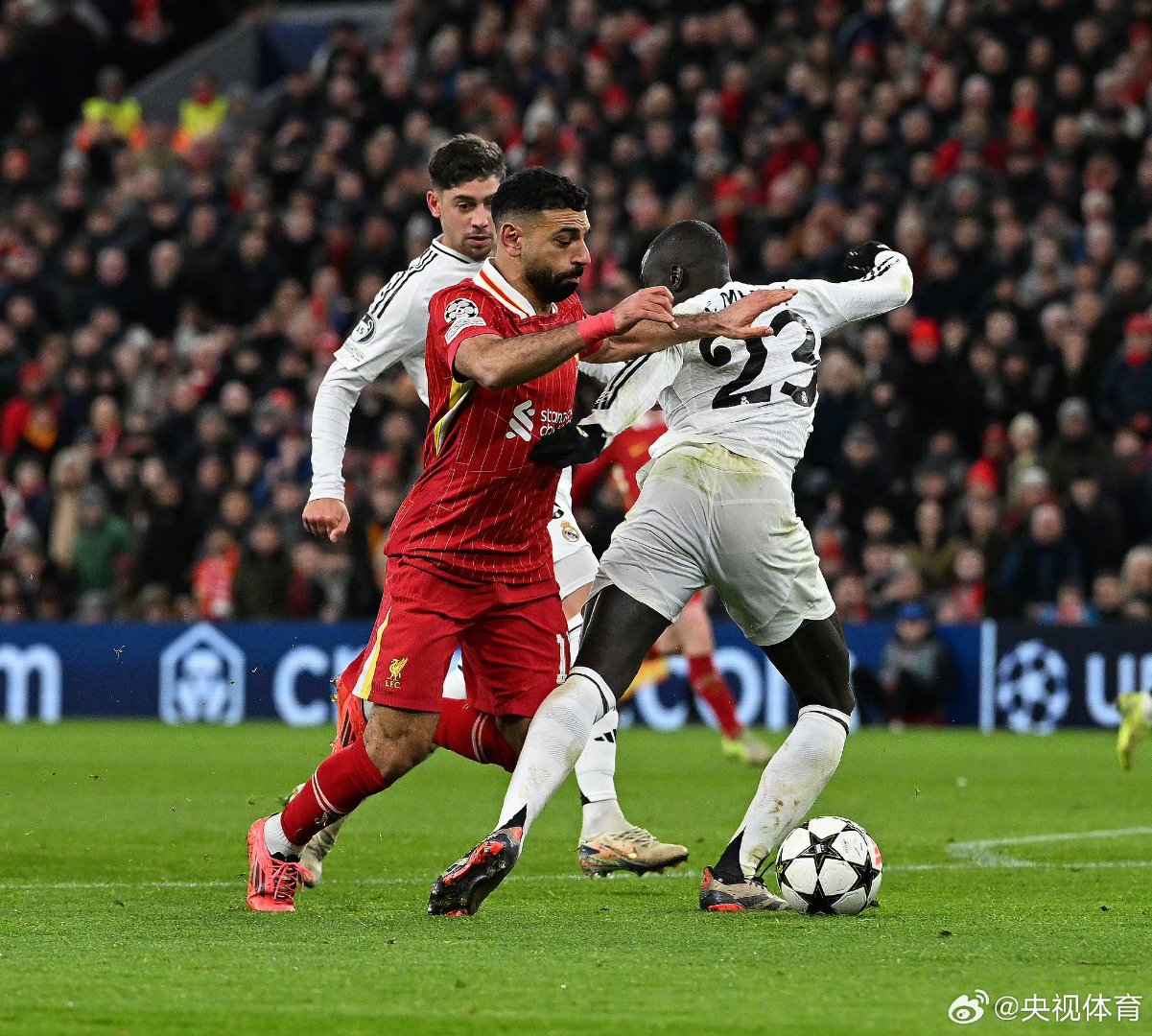 开云线上官网-刚刚！塔图姆在利物浦比赛中大比分领先奥兰多魔术集结日手感冰凉，勒沃库森止住颓势备战欧篮联的简单介绍